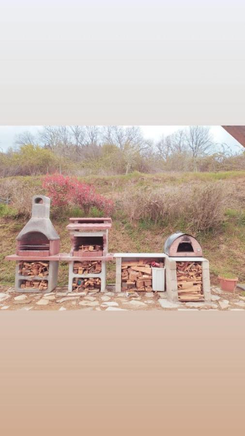 Il Podere Di Massi Barberino di Mugello Dış mekan fotoğraf