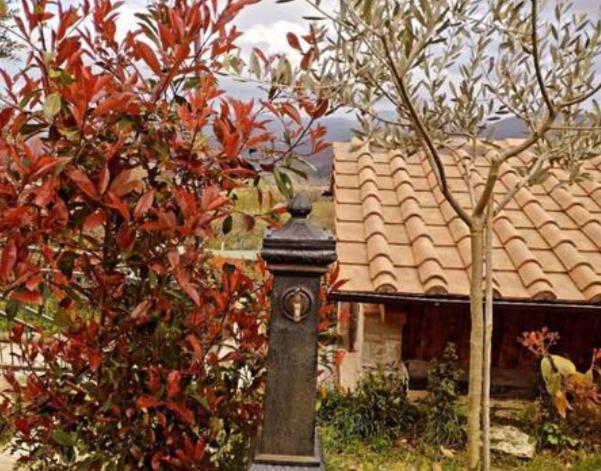 Il Podere Di Massi Barberino di Mugello Dış mekan fotoğraf