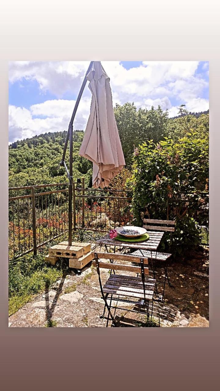 Il Podere Di Massi Barberino di Mugello Dış mekan fotoğraf