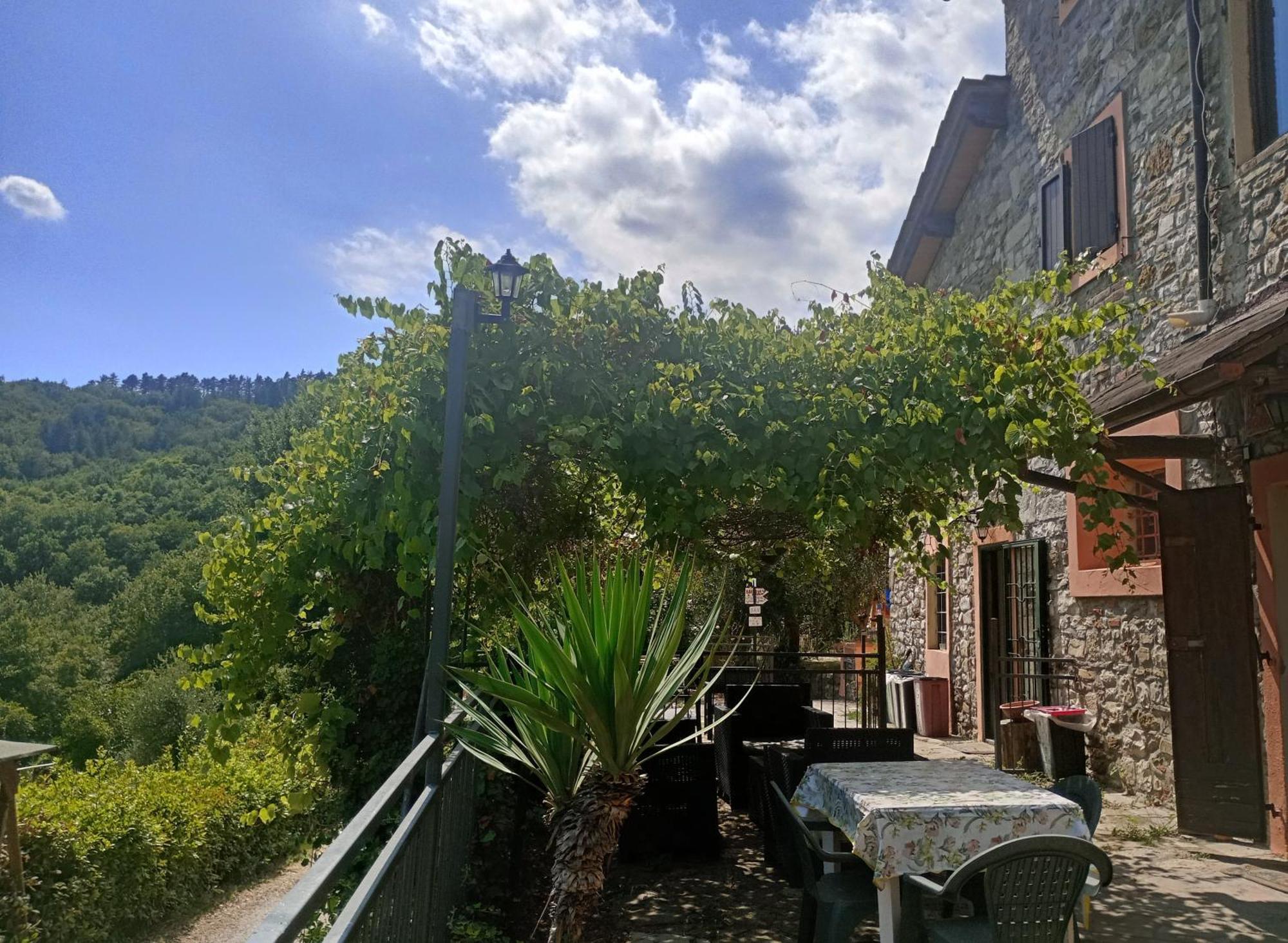 Il Podere Di Massi Barberino di Mugello Dış mekan fotoğraf